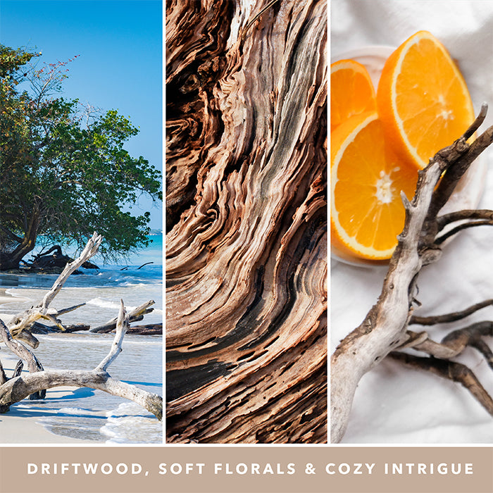 SEASIDE WOODS SIGNATURE JAR CANDLE by YANKEE CANDLE at Sundora