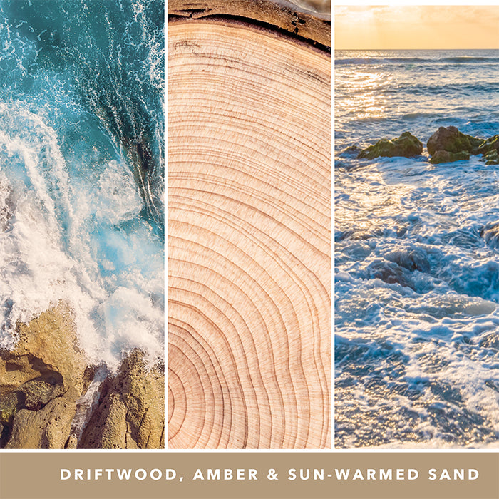 AMBER &amp; SANDALWOOD SIGNATURE JAR CANDLE by YANKEE CANDLE at Sundora