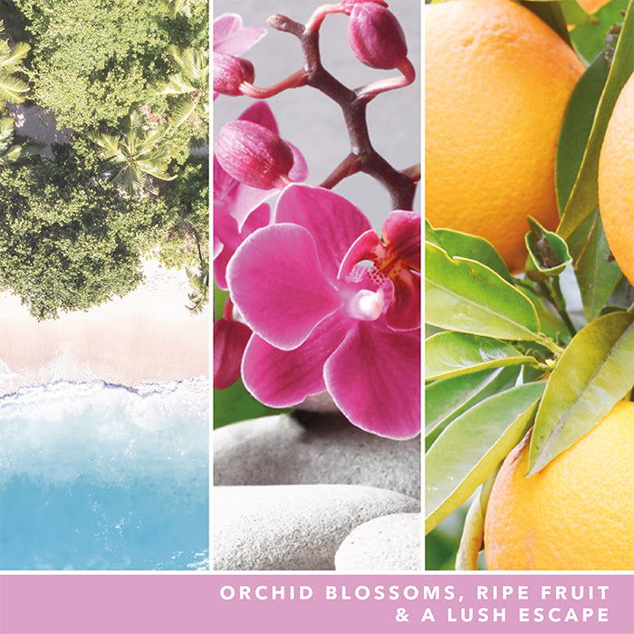 WILD ORCHID SIGNATURE JAR CANDLE by YANKEE CANDLE at Sundora