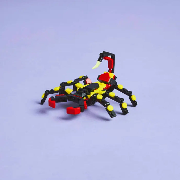 31159 Wild Animals: Surprising Spider
