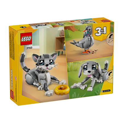 31163 Playful Cat