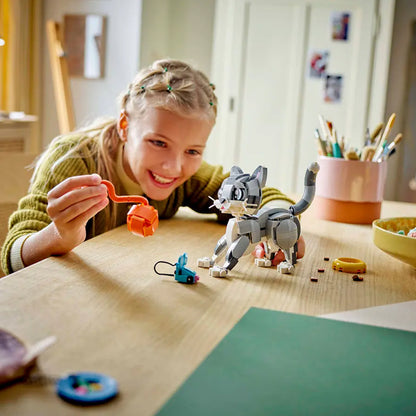 31163 Playful Cat