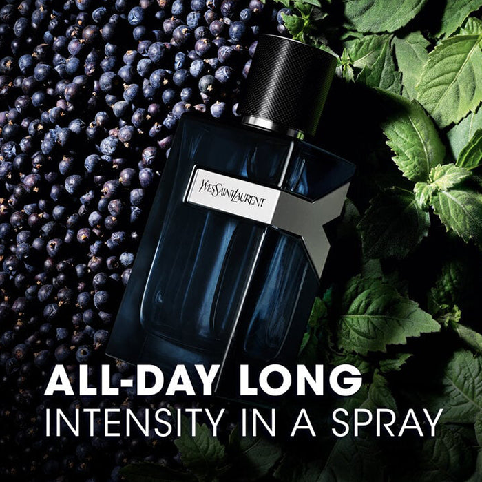 Y EAU DE PARFUM INTENSE PERFUME by YVES SAINT LAURENT at Sundora