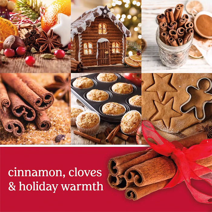 SPARKLING CINAMON – SINGLE CAR JAR CAR JAR by YANKEE CANDLE at Sundora