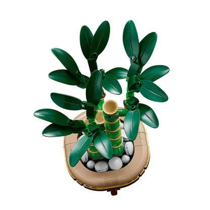 10344 Botanicals Lucky Bamboo