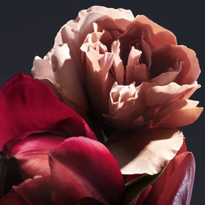 LADY MILLION ROYAL PERFUME by RABANNE at Sundora