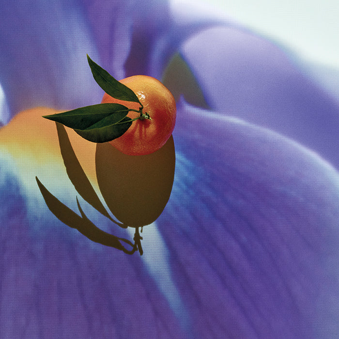 Solo Elixir Eau de Parfum