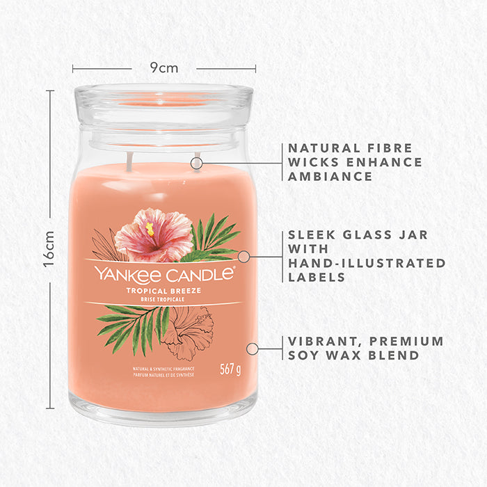 TROPICAL BREEZE SIGNATURE JAR CANDLE by YANKEE CANDLE at Sundora