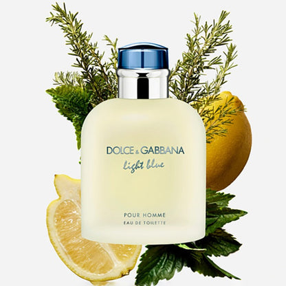 LIGHT BLUE POUR HOMME EAU DE TOILETTE PERFUME by DOLCE &amp; GABBANA at Sundora