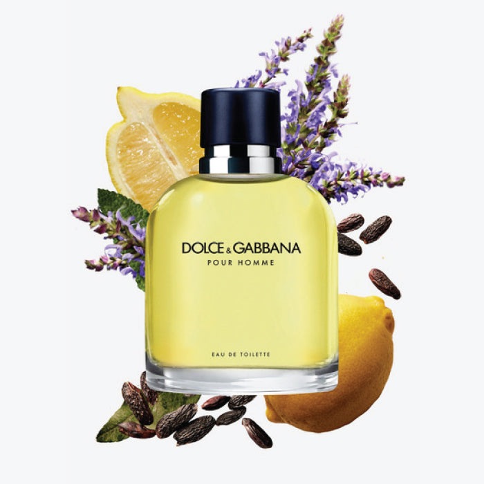 POUR HOMME EAU DE TOILETTE PERFUME by DOLCE &amp; GABBANA at Sundora