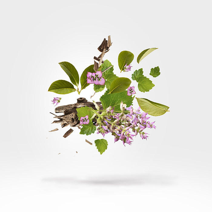 HOLYSM PARFUM PERFUME by XERJOFF at Sundora