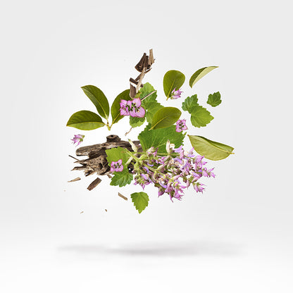 HOLYSM PARFUM PERFUME by XERJOFF at Sundora