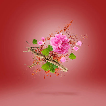 WARDASINA PERFUME by XERJOFF at Sundora