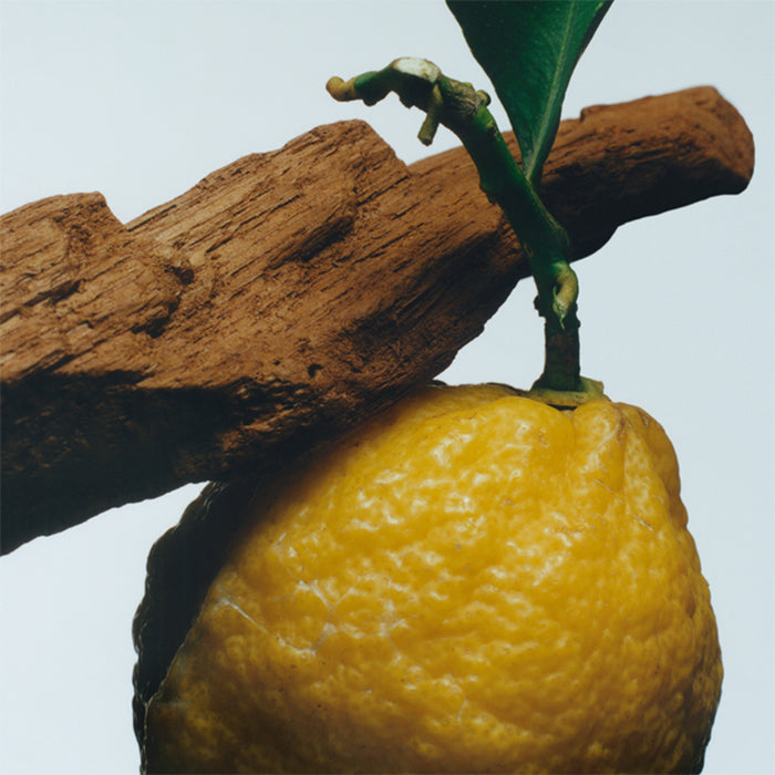 OUD &amp; BERGAMOT COLOGNE INTENSE PERFUME by JO MALONE at Sundora