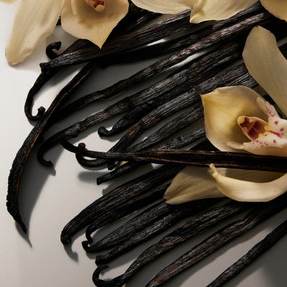 THE ONE EAU DE PARFUM PERFUME by DOLCE &amp; GABBANA at Sundora