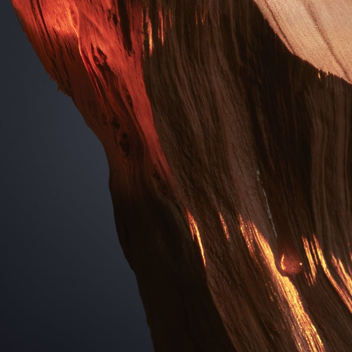 LADY MILLION ROYAL PERFUME by RABANNE at Sundora