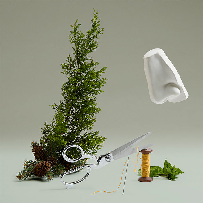 The Cut Eau De Parfum