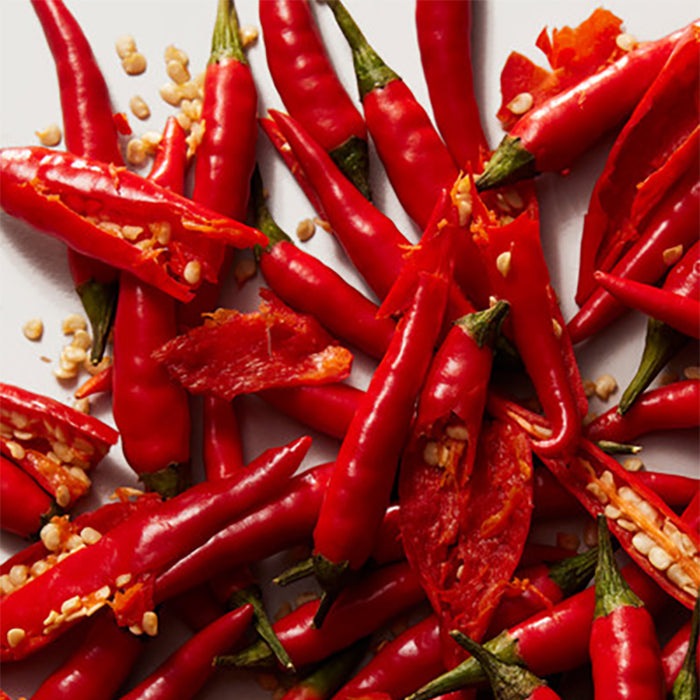 K BY DOLCE&amp;GABBANA EAU DE TOILETTE PERFUME by DOLCE &amp; GABBANA at Sundora