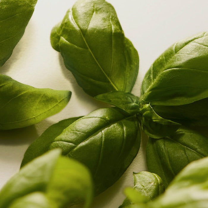 THE ONE FOR MEN EAU DE TOILETTE PERFUME by DOLCE &amp; GABBANA at Sundora