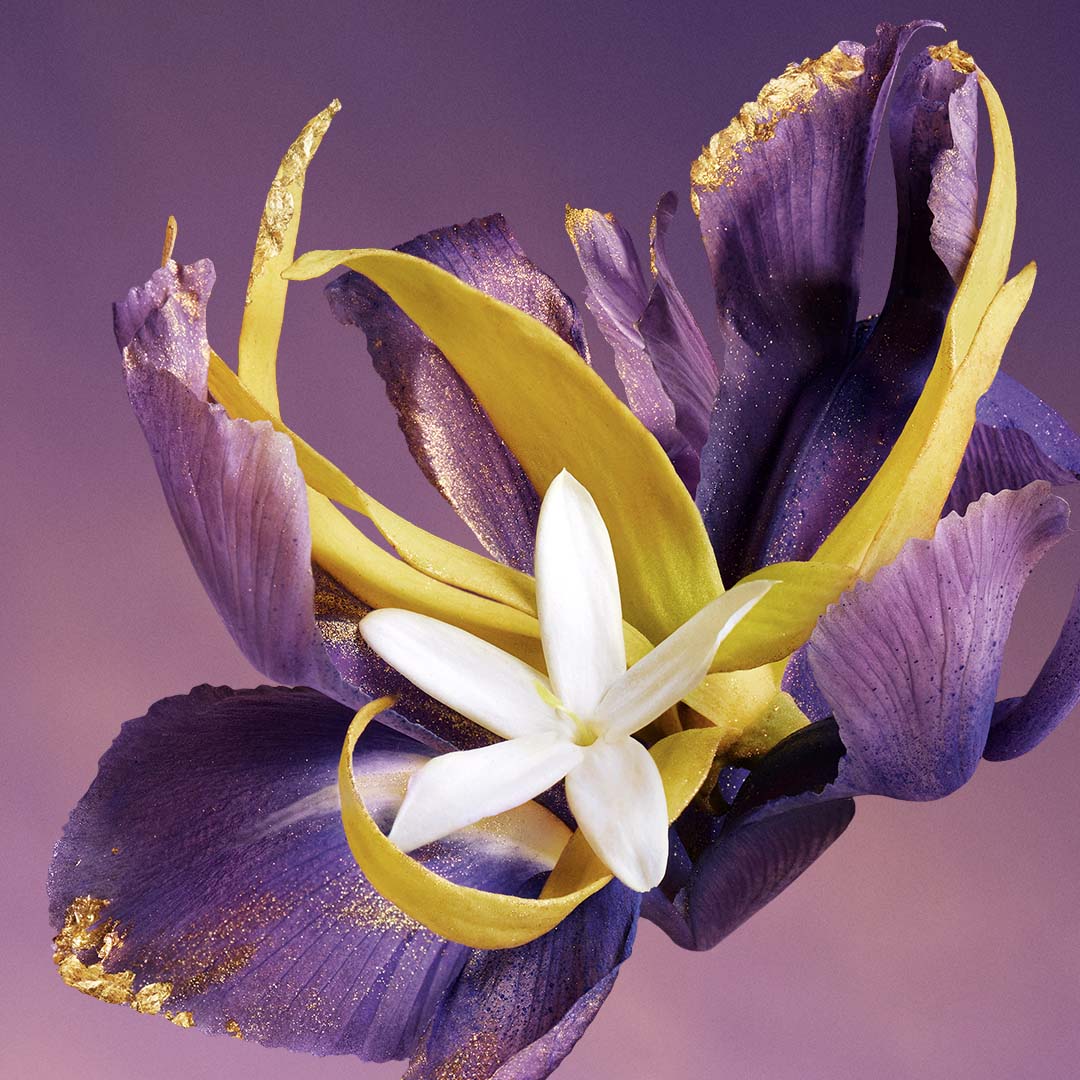 IRIS MALIKA PERFUME by CHOPARD at Sundora