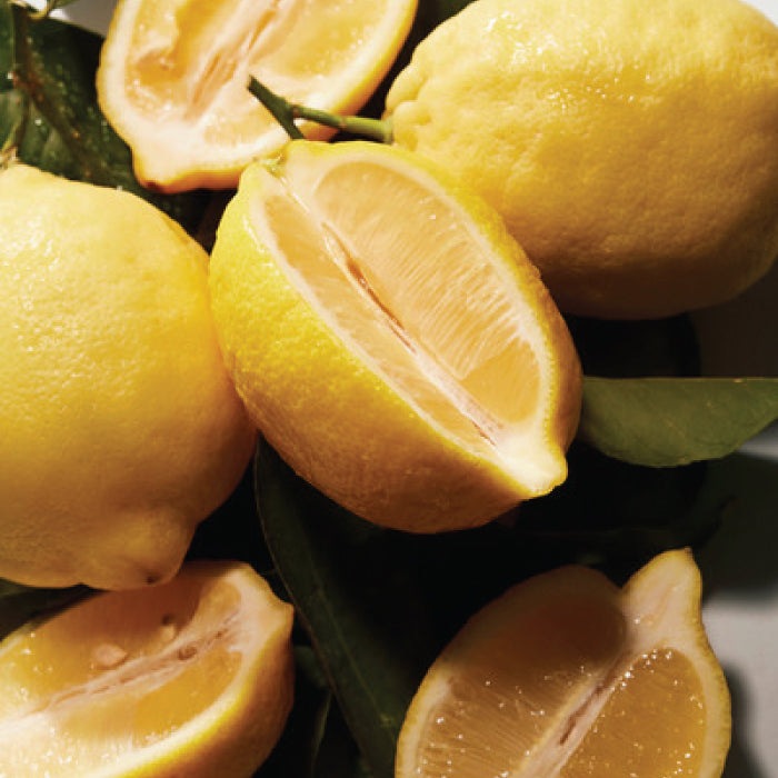 POUR HOMME EAU DE TOILETTE PERFUME by DOLCE &amp; GABBANA at Sundora