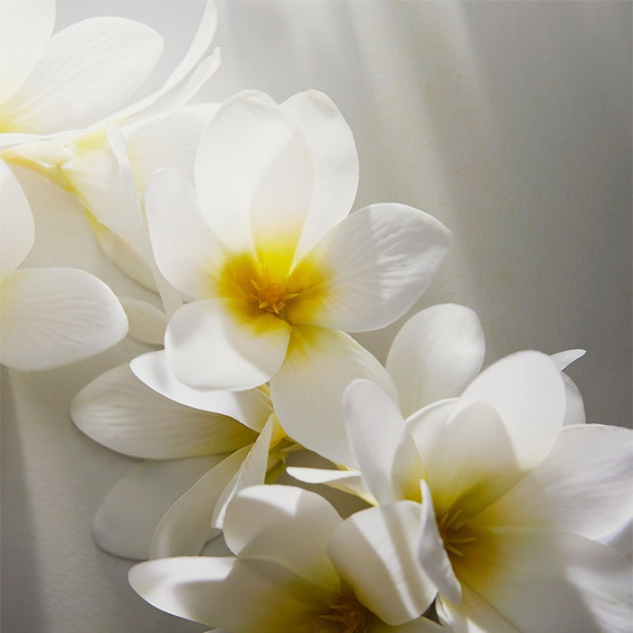 DOLCE SHINE EAU DE PARFUM PERFUME by DOLCE &amp; GABBANA at Sundora