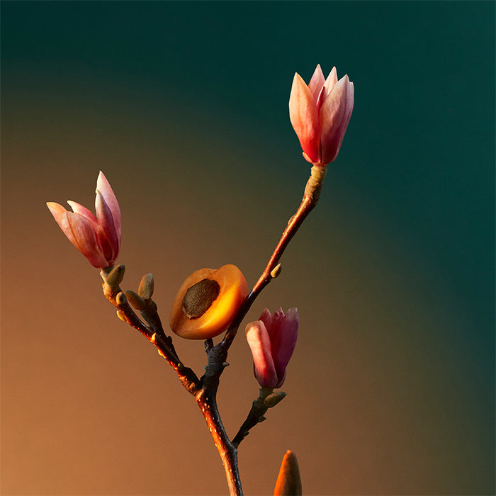 VRA VRA VROOM PERFUME by PENHALIGON&