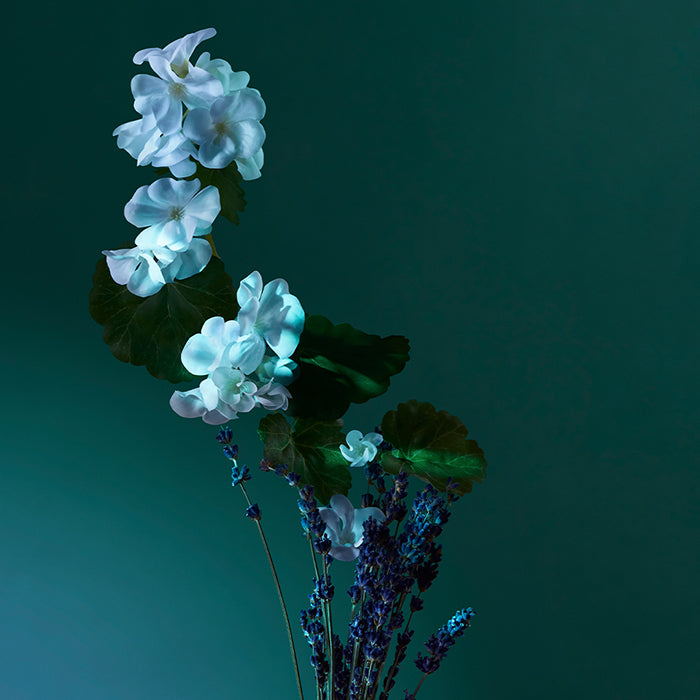 A BALM OF CALM PERFUME by PENHALIGON&