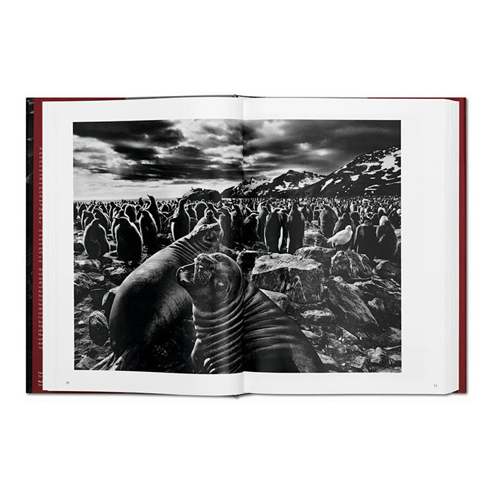 Sebastião Salgado- Genesis.
