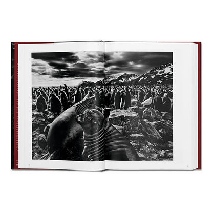Sebastião Salgado- Genesis.