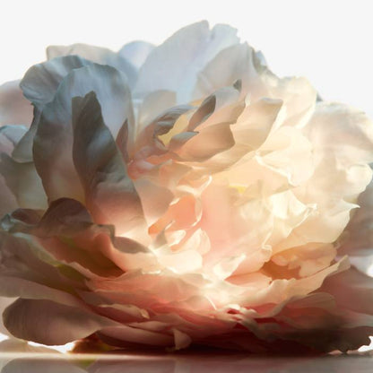 1 MILLION ROYAL PERFUME by RABANNE at Sundora