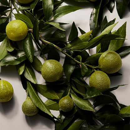 POUR FEMME EAU DE PARFUM PERFUME by DOLCE &amp; GABBANA at Sundora