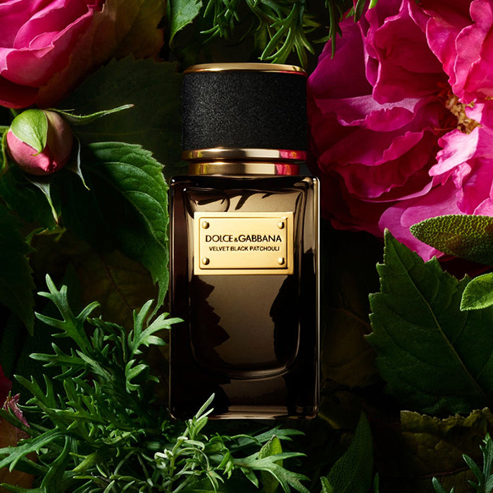 VELVET BLACK PATCHOULI EAU DE PARFUM PERFUME by DOLCE &amp; GABBANA at Sundora
