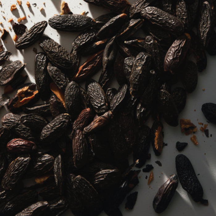 POUR HOMME EAU DE TOILETTE PERFUME by DOLCE &amp; GABBANA at Sundora