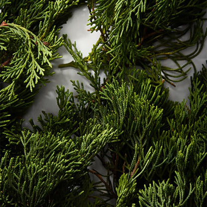 INTENSO EAU DE PARFUM PERFUME by DOLCE &amp; GABBANA at Sundora