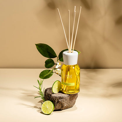 LEMON GRASS REED DIFFUSER DIFFUSER by MILLEFIORI MILANO at Sundora
