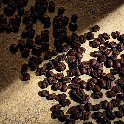 Devotion Pour Homme Parfum