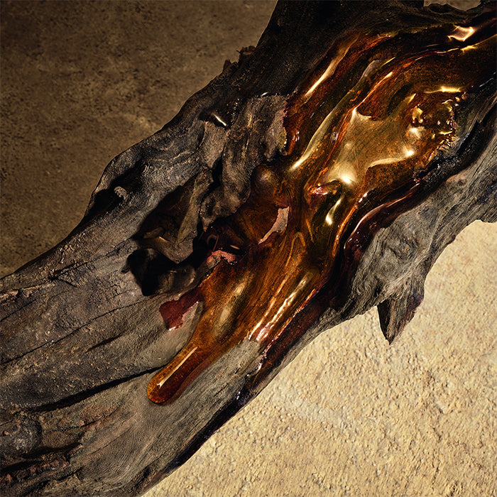 Devotion Pour Homme Parfum