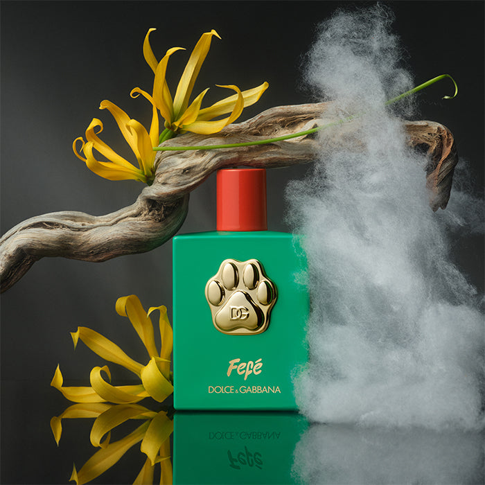 DOLCE&amp;GABBANA FEFÉ PERFUME by DOLCE &amp; GABBANA at Sundora