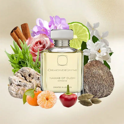 Nawab of Oudh Intensivo