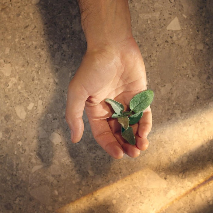 COLONIA FUTURA PERFUME by ACQUA DI PARMA at Sundora