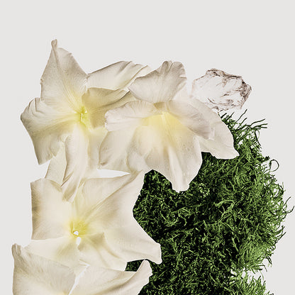 CK Cotton Musk Hair &amp; Body Perfume Mist
