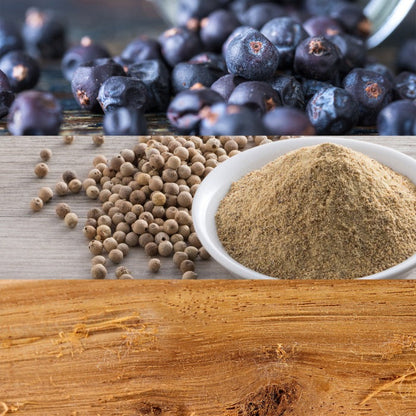 CK BE EDT PERFUME by CALVIN KLEIN at Sundora