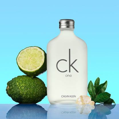 CK ONE EDT PERFUME by CALVIN KLEIN at Sundora