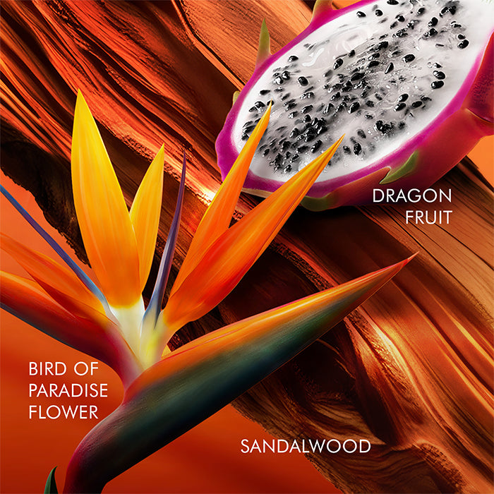 BALI PARADISE EAU DE TOILETTE FOR WOMEN PERFUME by ESCADA at Sundora