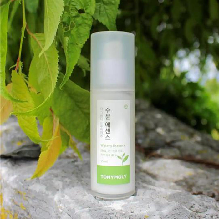 THE GREENTEA TRUE BIOME WATERY TONER TONER by TONYMOLY at Sundora