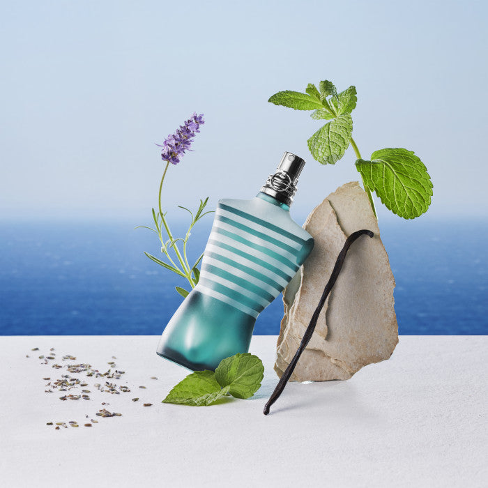 Le Male PERFUME by JEAN PAUL GAULTIER at Sundora