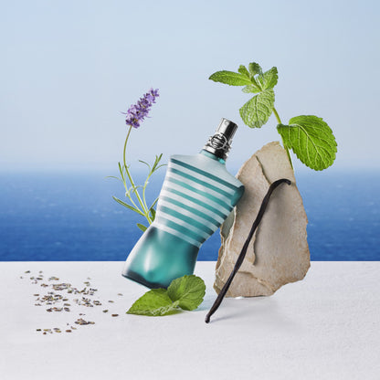 Le Male PERFUME by JEAN PAUL GAULTIER at Sundora