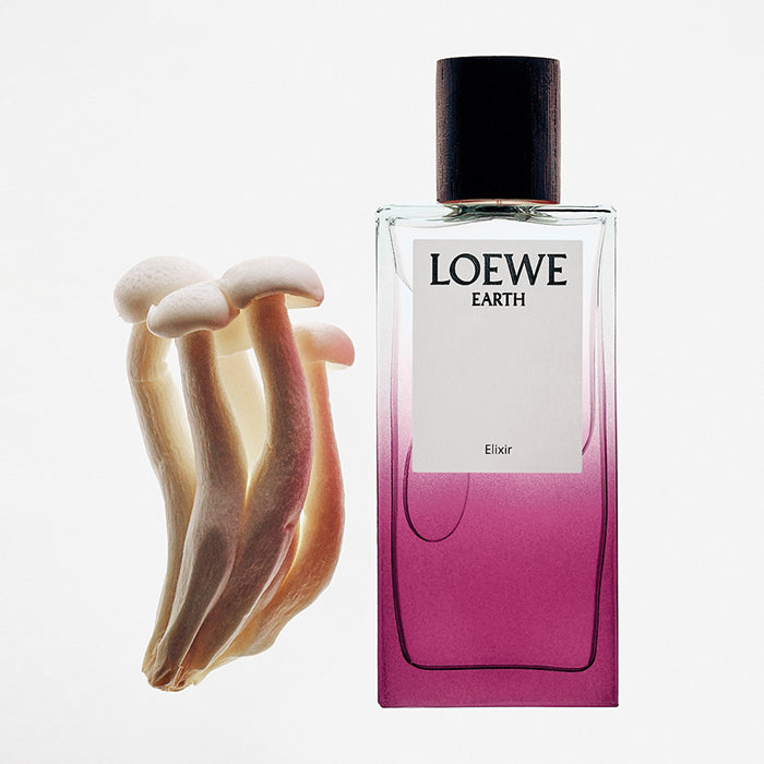 LOEWE EARTH ELIXIR PERFUME by LOEWE at Sundora