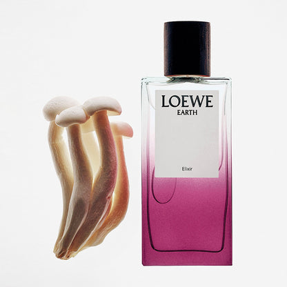 LOEWE EARTH ELIXIR PERFUME by LOEWE at Sundora